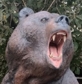 ������� ������� 